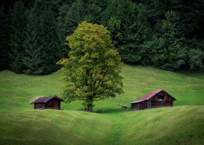 Alpine Huts