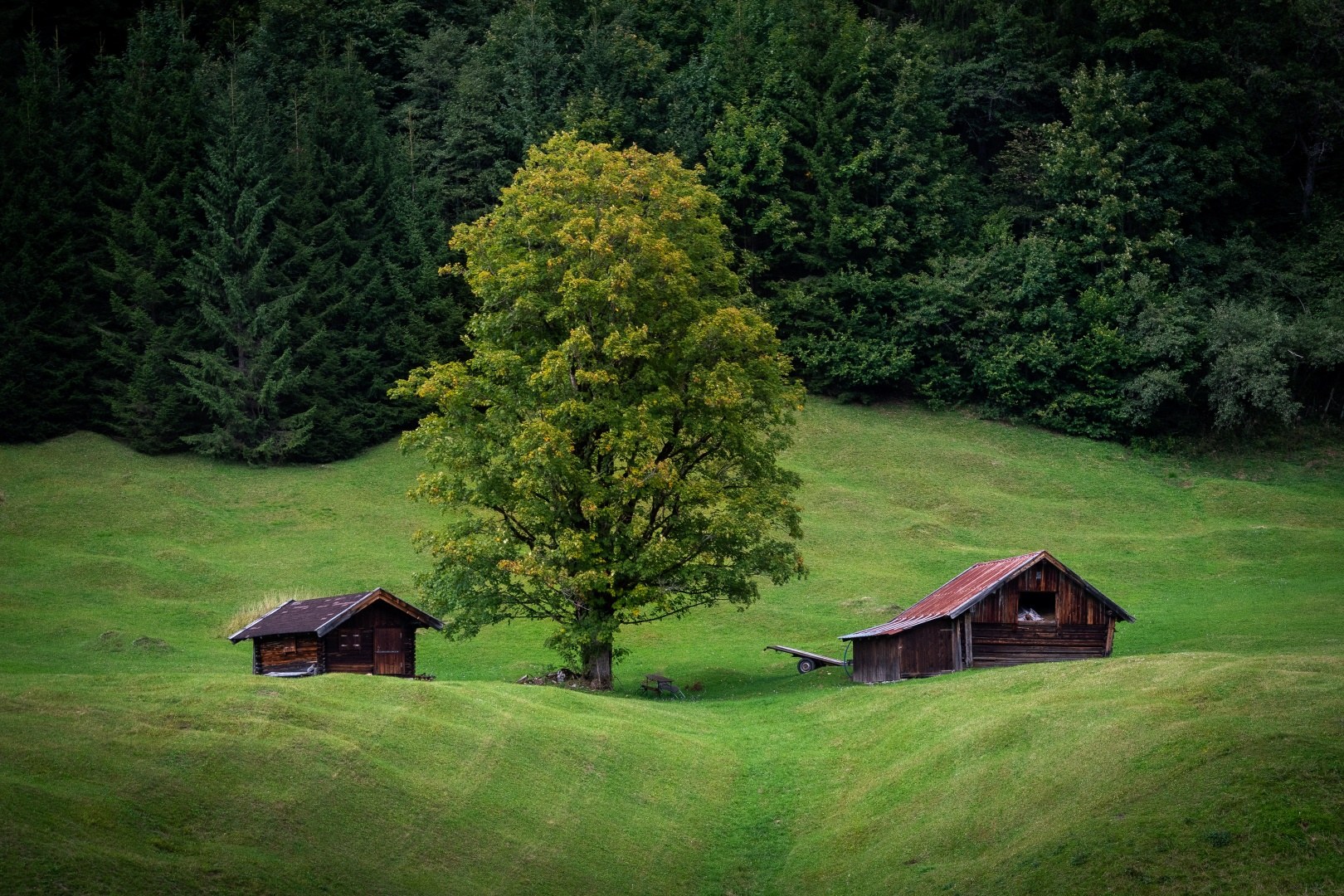 Alpine Huts