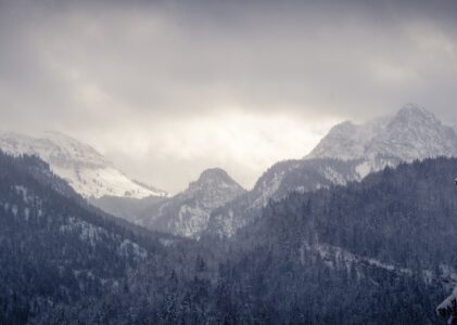 Into the Storm