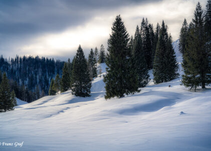 A Snow Hike