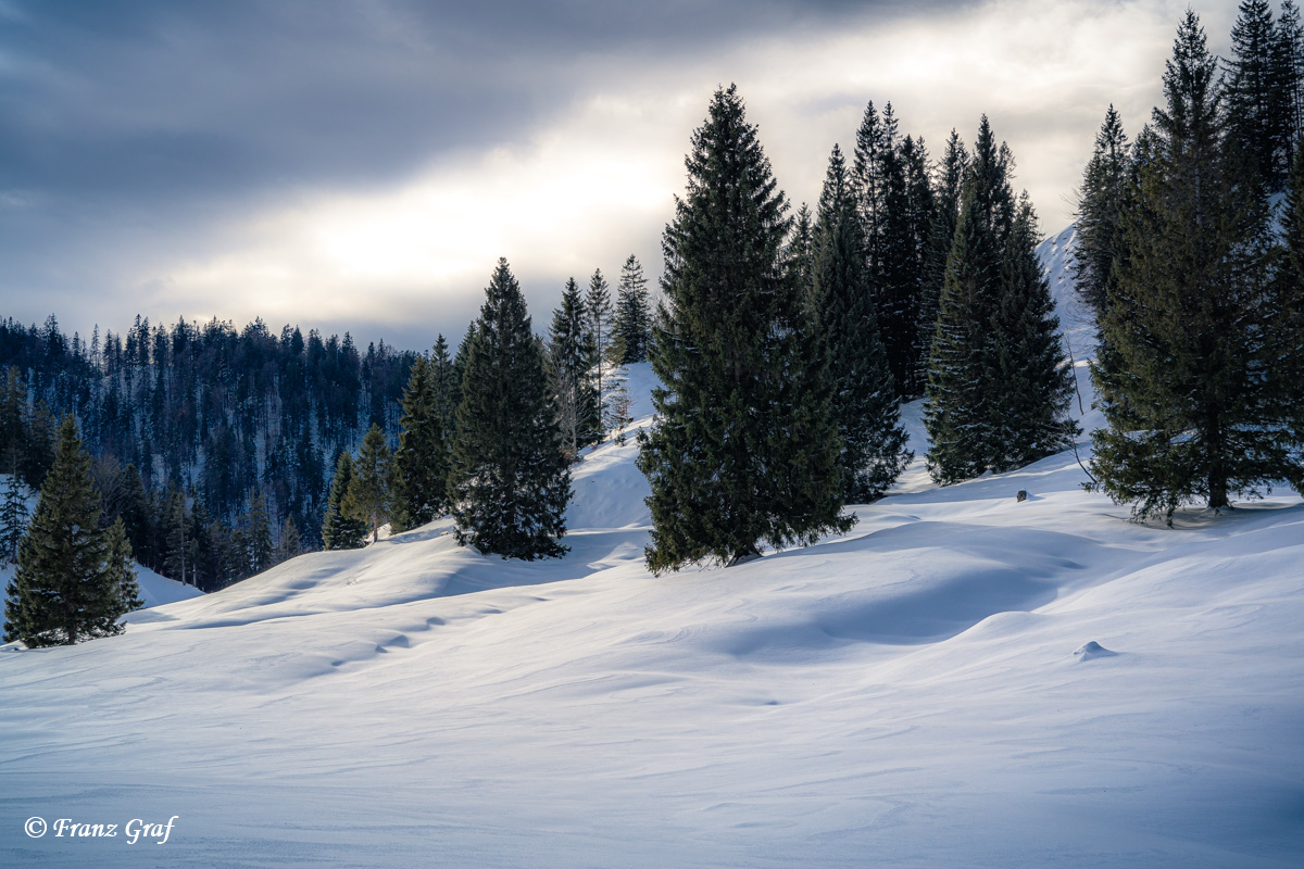 A Snow Hike