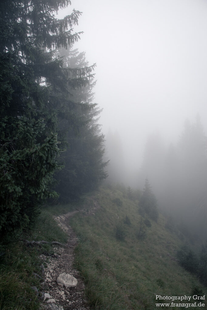 This photograph captures a tranquil and serene scene of a trail through a foggy forest. The trees line both sides of the path, their branches reaching out and intertwining with one another to create a canopy of foliage. The fog is so thick that it almost completely obscures the surrounding landscape, giving the impression of a never-ending path. The white and grey of the fog is complemented by the black and white of the trees, creating a beautiful contrast. The picture evokes a feeling of peacefulness, a feeling of being alone in the world with no one else around. The light of the day is just starting to peek through the fog, adding a hint of warmth and life to the otherwise still environment. This photograph is a perfect example of the beauty and peacefulness that nature can bring.