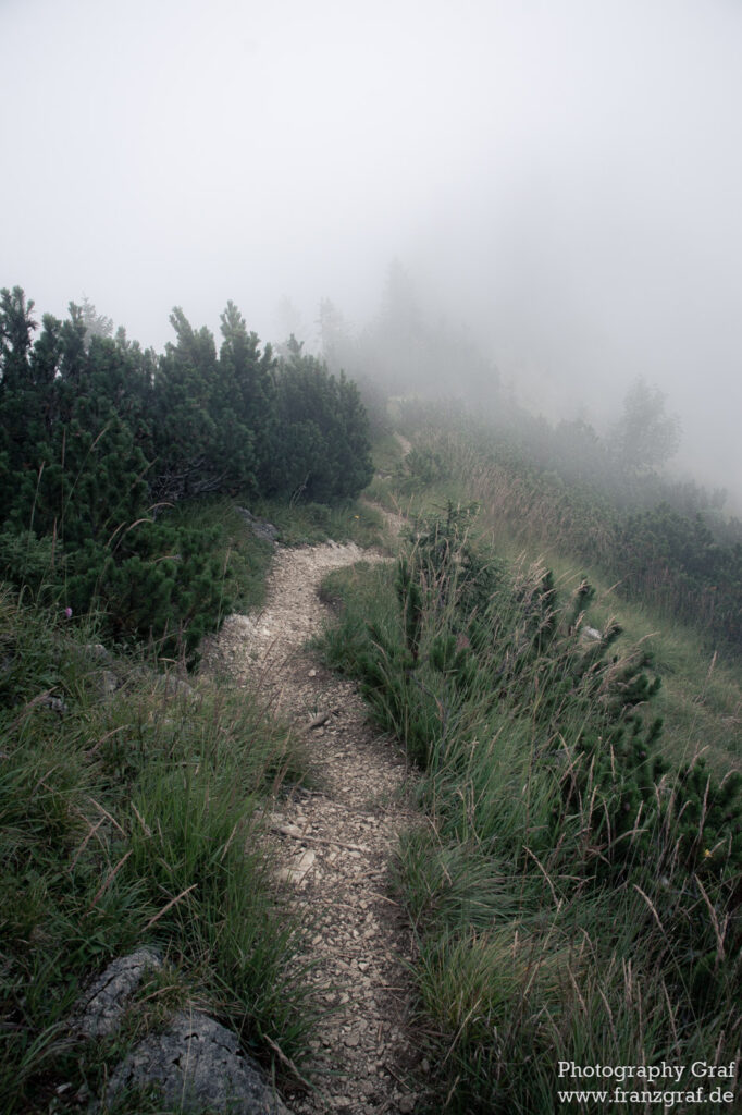 This photograph captures a tranquil and serene scene of a trail through a foggy forest. The trees line both sides of the path, their branches reaching out and intertwining with one another to create a canopy of foliage. The fog is so thick that it almost completely obscures the surrounding landscape, giving the impression of a never-ending path. The white and grey of the fog is complemented by the black and white of the trees, creating a beautiful contrast. The picture evokes a feeling of peacefulness, a feeling of being alone in the world with no one else around. The light of the day is just starting to peek through the fog, adding a hint of warmth and life to the otherwise still environment. This photograph is a perfect example of the beauty and peacefulness that nature can bring.