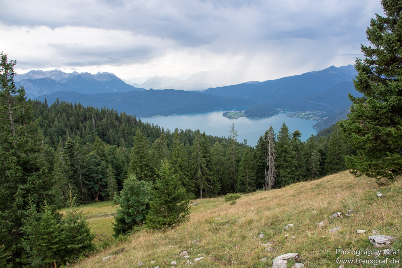 This stunning landscape features a tranquil lake nestled between majestic snow-capped mountains. A dense forest of tall, lush trees surrounds the lake, providing a peaceful atmosphere. In the foreground, a grassy hill is dotted with rocks, and a single tree stands tall, its many leaves rustling in the wind. The sky above is cloudy and grey, but the sun still manages to peek through the clouds, casting its light on the lake and the forest beyond. This is a perfect spot for a peaceful escape, where one can take in the beauty of nature and relax.