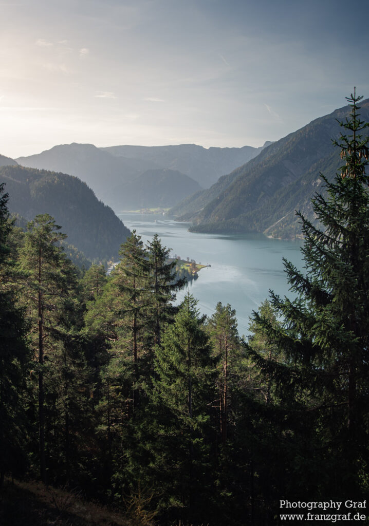 This is an image of an awe-inspiring natural landscape. The primary focus is a serene body of water, possibly a lake, ensconced amidst an expanse of luxuriant trees. Diverse species of conifers such as larch, spruce, and pine dominate the woodland. The scene is set in a highland area, with the forest extending into a magnificent mountain range in the background. The sky is a vibrant blue, dotted with fluffy clouds, further enhancing the outdoor wilderness setting. The tropical and temperate coniferous forests suggest that the location might be a national park or a hill station. The image encapsulates the tranquil beauty of nature in its purest form.