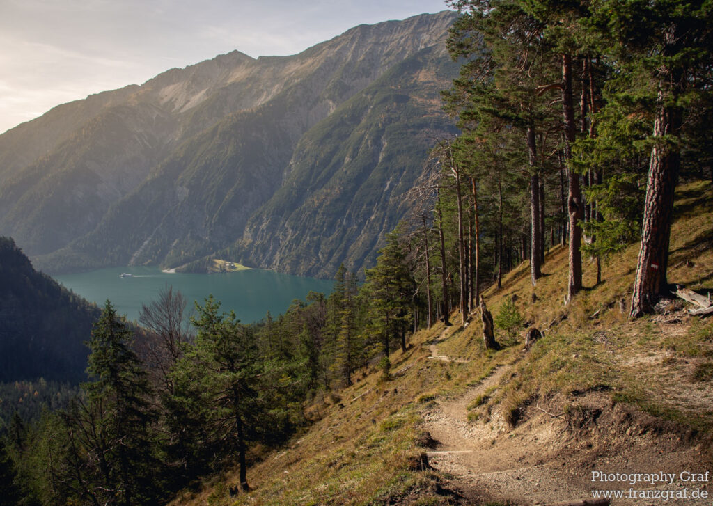 This image captures a breathtaking outdoor landscape of a tranquil wilderness. A verdant trail snakes its way across a lush hillside, flanked by an array of towering trees with their branches stretching out towards the clear sky. In the distance, a serene body of water is nestled amidst the rolling terrain, its surface reflecting the sky above. A majestic mountain range looms in the backdrop, its peaks shrouded in clouds. The landscape is a harmonious blend of nature's elements - earth, water, and sky. The scene is a typical sight in a national park, with the untouched beauty of the highland wilderness revealing itself in all its glory.