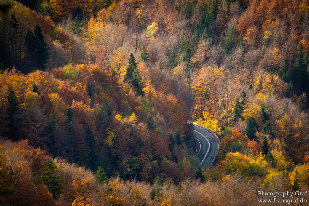 This image captures a tranquil scene in nature, namely a winding road that cuts through a dense forest. The forest is a beautiful mixture of deciduous trees, their leaves exhibiting the warm hues of fall. The vibrant colors of the leaves range from yellow to various shades of green, creating a stunning natural landscape. The road itself is dwarfed by the towering trees on either side, adding to the sense of seclusion and wilderness. In the background, the silhouette of a mountain can be faintly discerned. The image also appears to have a certain abstract texture, adding to its overall appeal. This scene is a perfect representation of the beauty of the outdoors, especially during the autumn season.