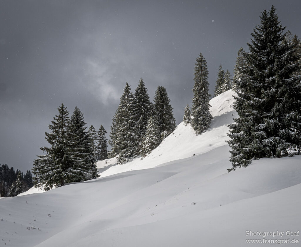 This is an awe-inspiring image of a snowy mountain adorned by a variety of lush trees. The dominant color in the image is grey, giving it a chilly and wintery feel. The rugged terrain of the mountain is covered with a thick layer of snow, reflecting the freezing conditions. Nestled amidst the snow are trees such as spruce, fir, pine, and shortleaf black spruce, all adding to the wintry charm. The sky above is cloudy, suggesting the possibility of a blizzard or winter storm. The image beautifully captures the essence of winter and the raw, untouched beauty of nature. The snow-covered trees could also be seen as Christmas trees, adding a festive touch to the image. The image is outdoor, and it beautifully encapsulates the essence of nature, winter, and the serene silence that snow brings.