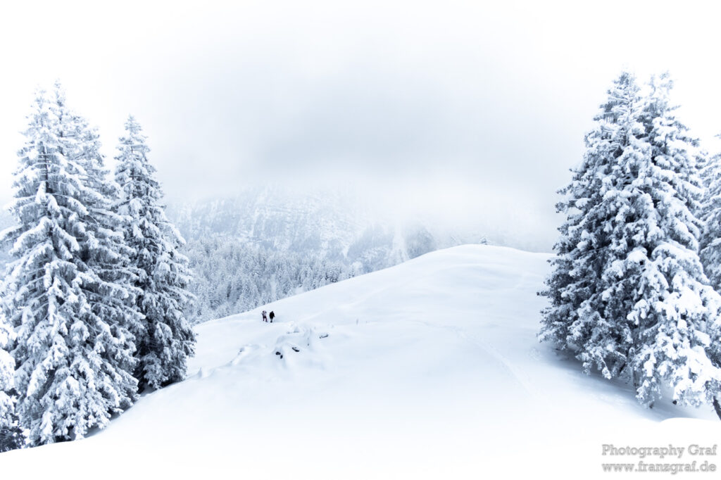 This image captures a group of people trudging through a winter wonderland on a mountain. The landscape is covered in a blanket of pure white snow, giving an impression of a serene and peaceful atmosphere. The sky above is a clear, beautiful backdrop to this winter scene. Scattered around are majestic trees, most likely spruces, firs, or pines, covered in a layer of frost and snow. The scene closely resembles a ski slope, making it a perfect setting for winter sports. In the foreground, two Christmas trees stand out, adding to the festive and wintry feel of the image. Despite the freezing cold and the blizzard, the people seem undeterred, indicating their love for nature and outdoor activities. The photographer's watermark, "Photography Graf www.franzgraf.de", is subtly placed, not detracting from the overall beauty of the image.