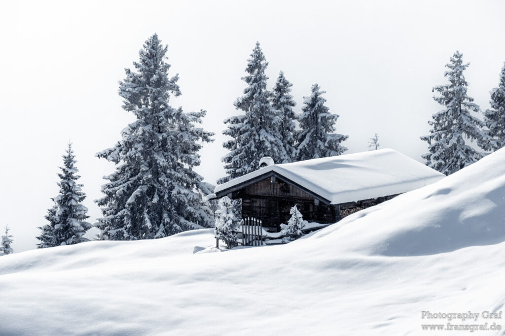 This image captures a serene winter landscape. Dominated by a white and gray color scheme, the scene is covered in a thick layer of snow, hinting at a recent blizzard. The central focus is a house nestled amidst this winter wonderland, its structure almost blending into the snow-covered surroundings. The house is surrounded by trees, including spruces and firs, their branches heavy with snow. A couple of trees resemble Christmas trees, further enhancing the festive winter atmosphere. In the background, the slope of a snow-covered mountain can be glimpsed. The sky above is clear, suggesting the winter storm has passed. This image beautifully encapsulates the silent, frozen beauty of a snow-laden outdoors.