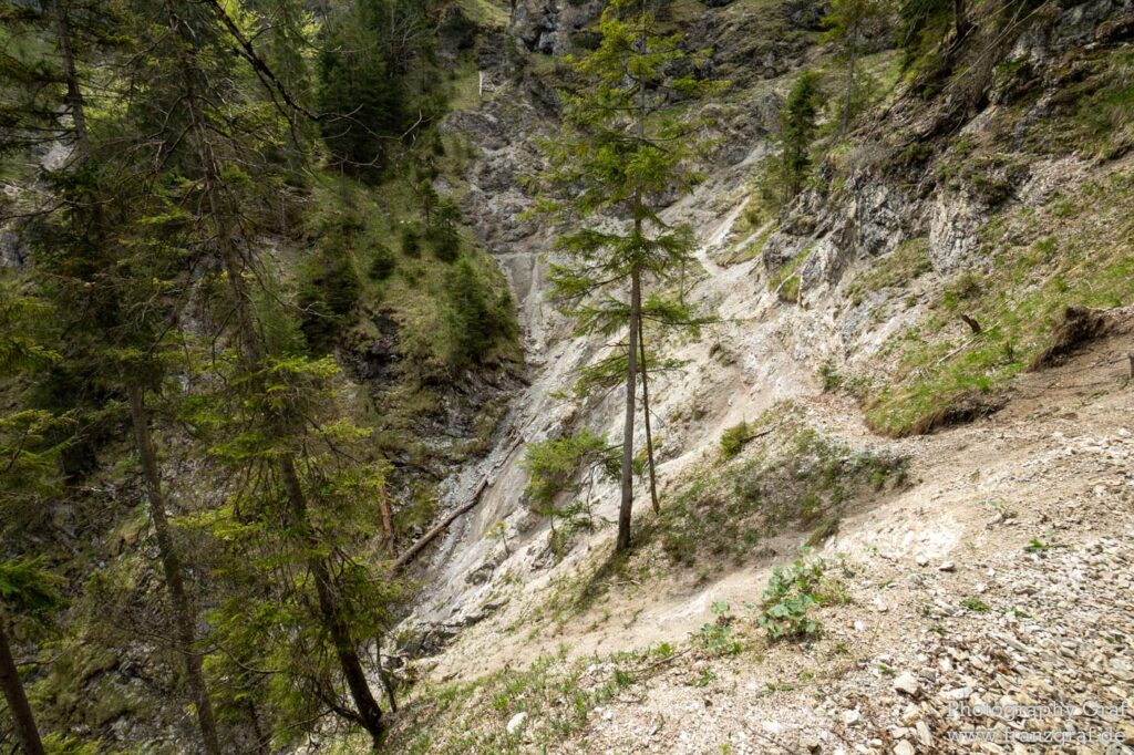 A stunning landscape featuring a rocky cliff with trees is captured in this image. The rocky cliff is the dominant feature, with its dark, jagged edges contrasting against the bright blue sky. The trees add a touch of greenery and softness to the otherwise rugged scene. The image was taken in an outdoor setting, possibly in a nature reserve or national park, as suggested by the tags. The terrain is hilly and uneven, with rocky outcrops and exposed bedrock. In the foreground, a palm tree is visible, adding an exotic element to the scene. The overall atmosphere is one of wilderness and natural beauty, making this a perfect image for a nature or landscape caption dataset.