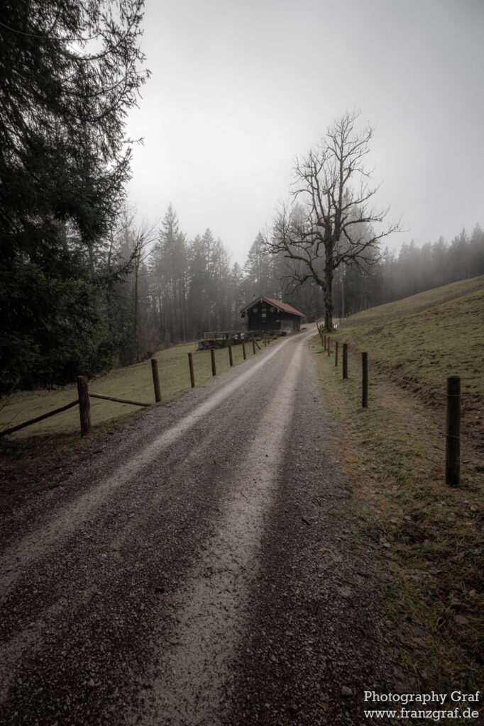 This image captures a serene rural landscape. The focus of the image is a narrow, unmarked dirt road that stretches out towards the horizon, surrounded by a vast expanse of open grassland. On one side of the road, there's a solitary house, adding a touch of human presence to the otherwise untouched nature. The sky above is expansive, filled with soft, billowing clouds that appear to be cloaked in a light fog, hinting at the possibility of an impending winter. The landscape is dotted with trees on both sides, their leafless branches reaching out into the sky, further enhancing the winter theme. The overall color palette of the image is subdued, with dominant shades of black, white, and grey, interrupted only by the green of the grassland.