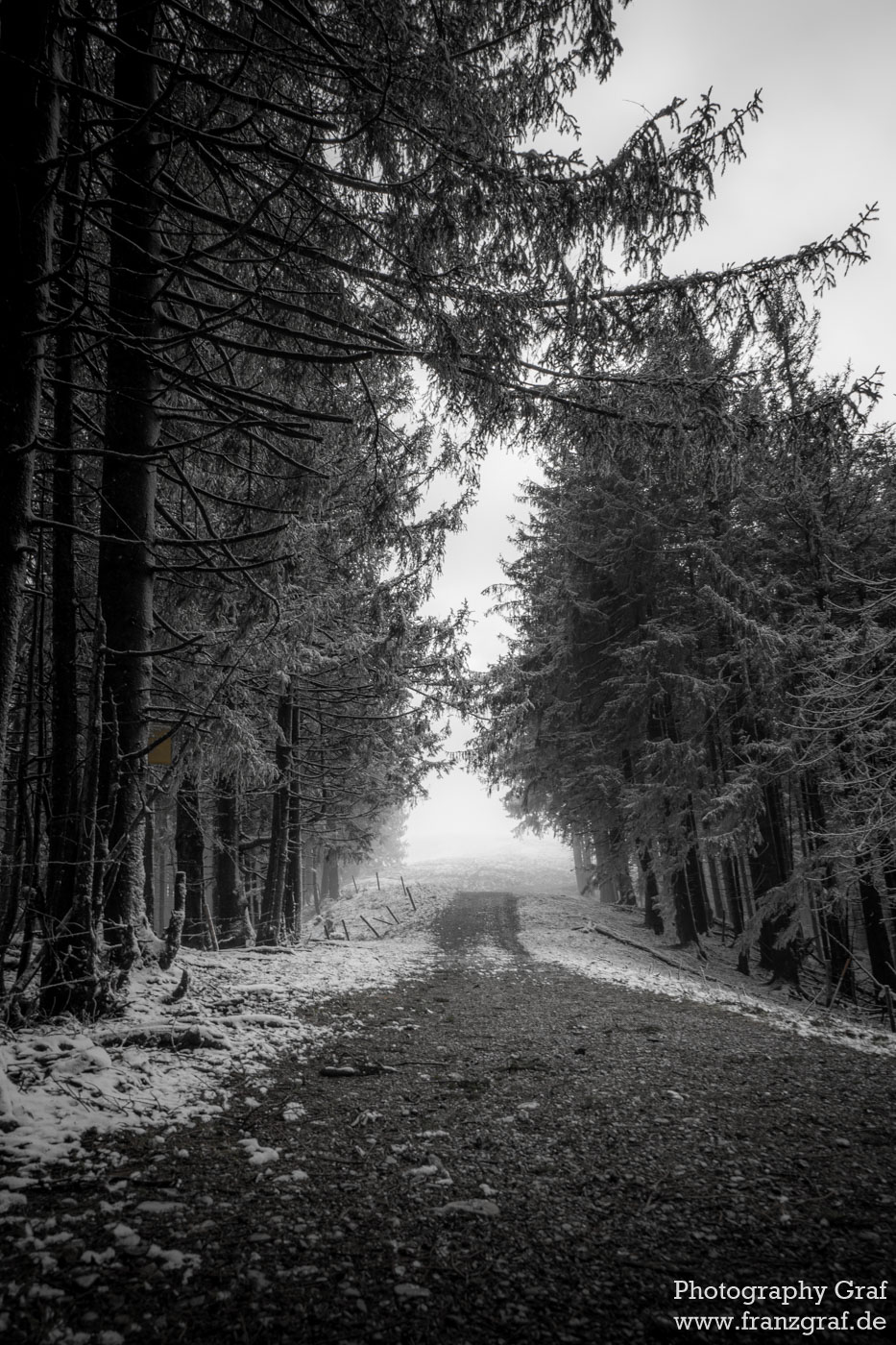 This is a stunning black and white photograph that captures the essence of the wilderness in winter. Dominated by the colors black and grey, the image features a dirt road leading through a heavily forested area. The trees, including conifers and maples, are covered in a delicate layer of snow, conveying a sense of tranquility and serenity. The sky overhead is vast and seemingly infinite, adding a sense of depth to the landscape. The image is void of any human presence, suggesting a sense of isolation and solitude. The ground is also covered in snow, reflecting the chill of the winter season. The sight of fog rolling in through the trees further enhances the atmospheric quality of the image. This photograph truly encapsulates the raw, untouched beauty of nature. The image was taken by Franz Graf, as indicated by the watermark.