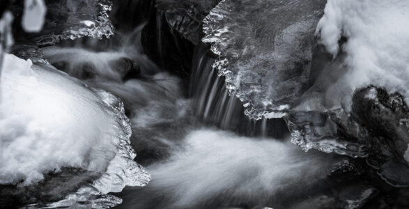 A Frozen Day: Capturing the Chill Through the Lens